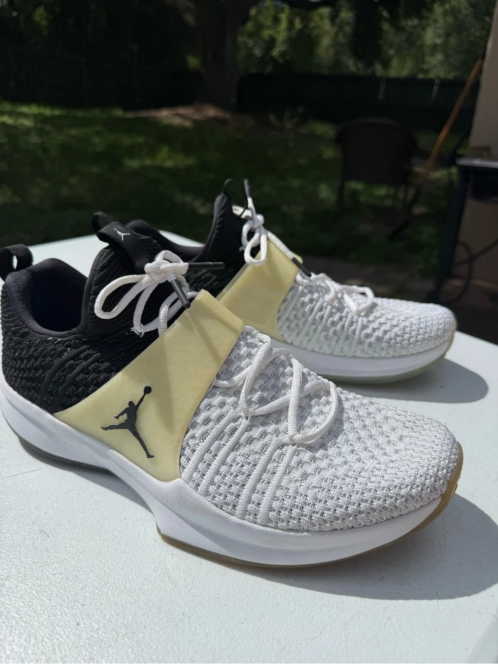 Air Jordan Trainer 2 Flyknit Men’s 12